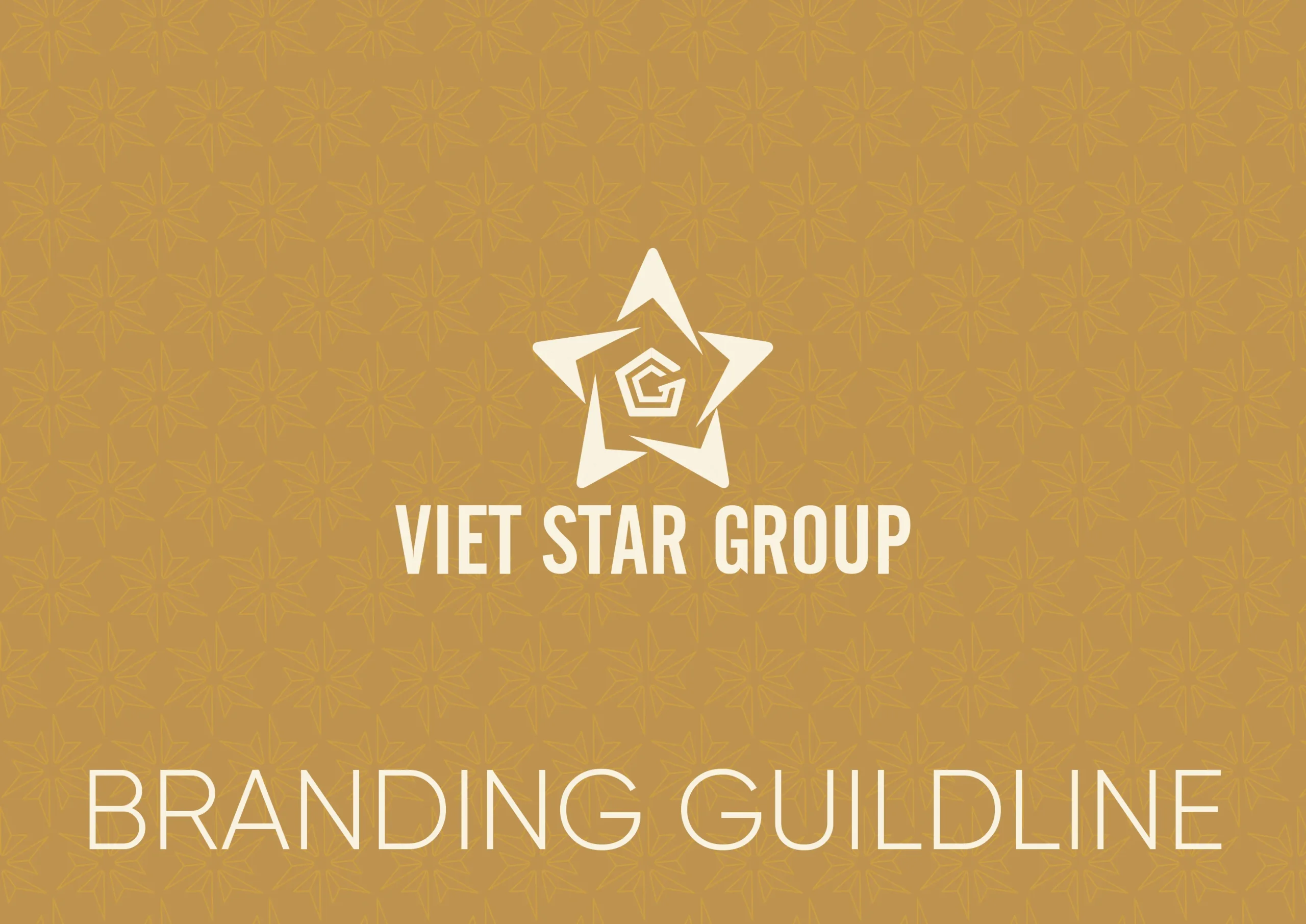 Thiết kế bộ nhận diện thương hiệu Vietstar Group